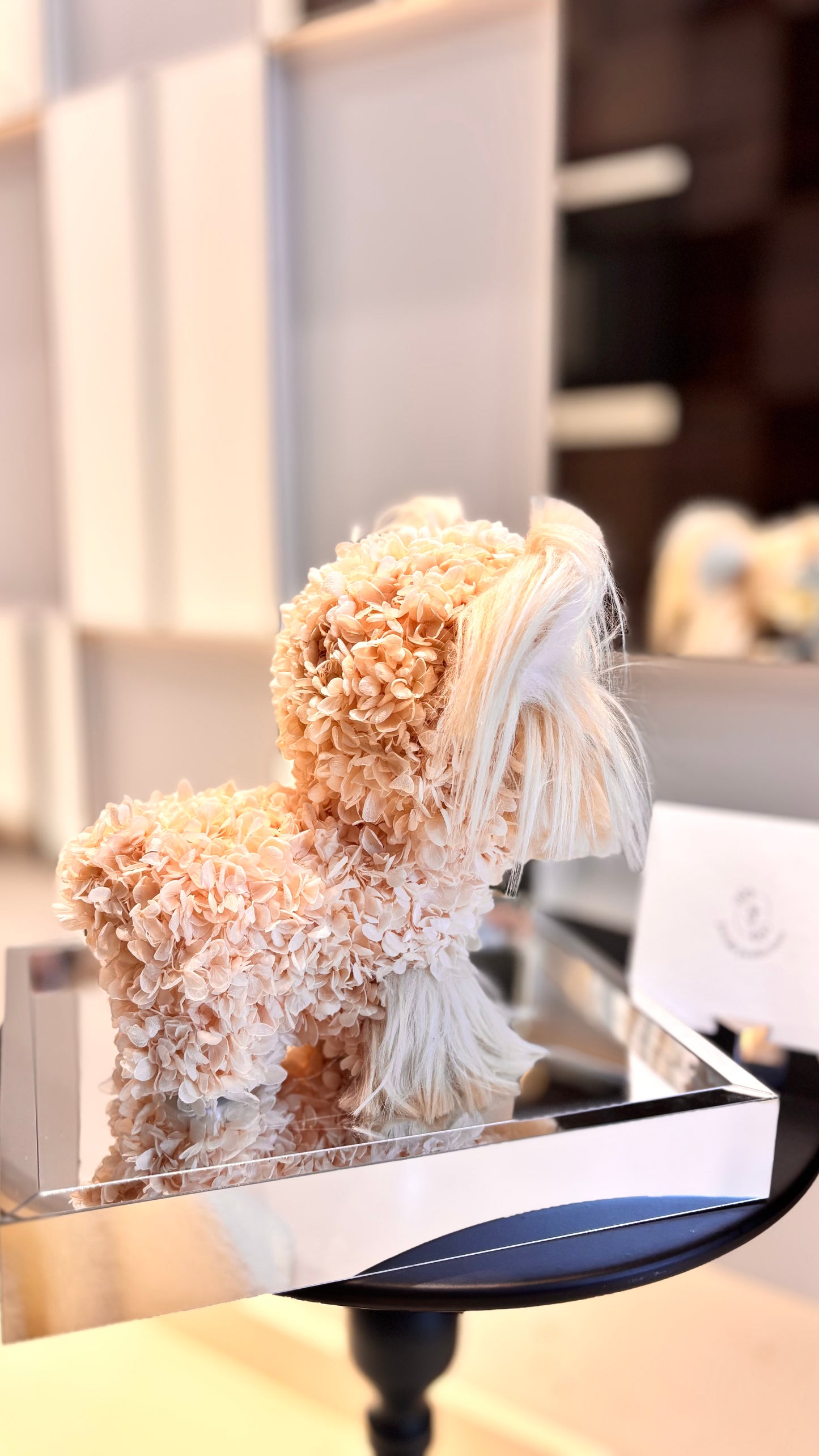 Yorkshire Puppy Love Everlasting Flowers Box 🇸🇬 SG In Stock