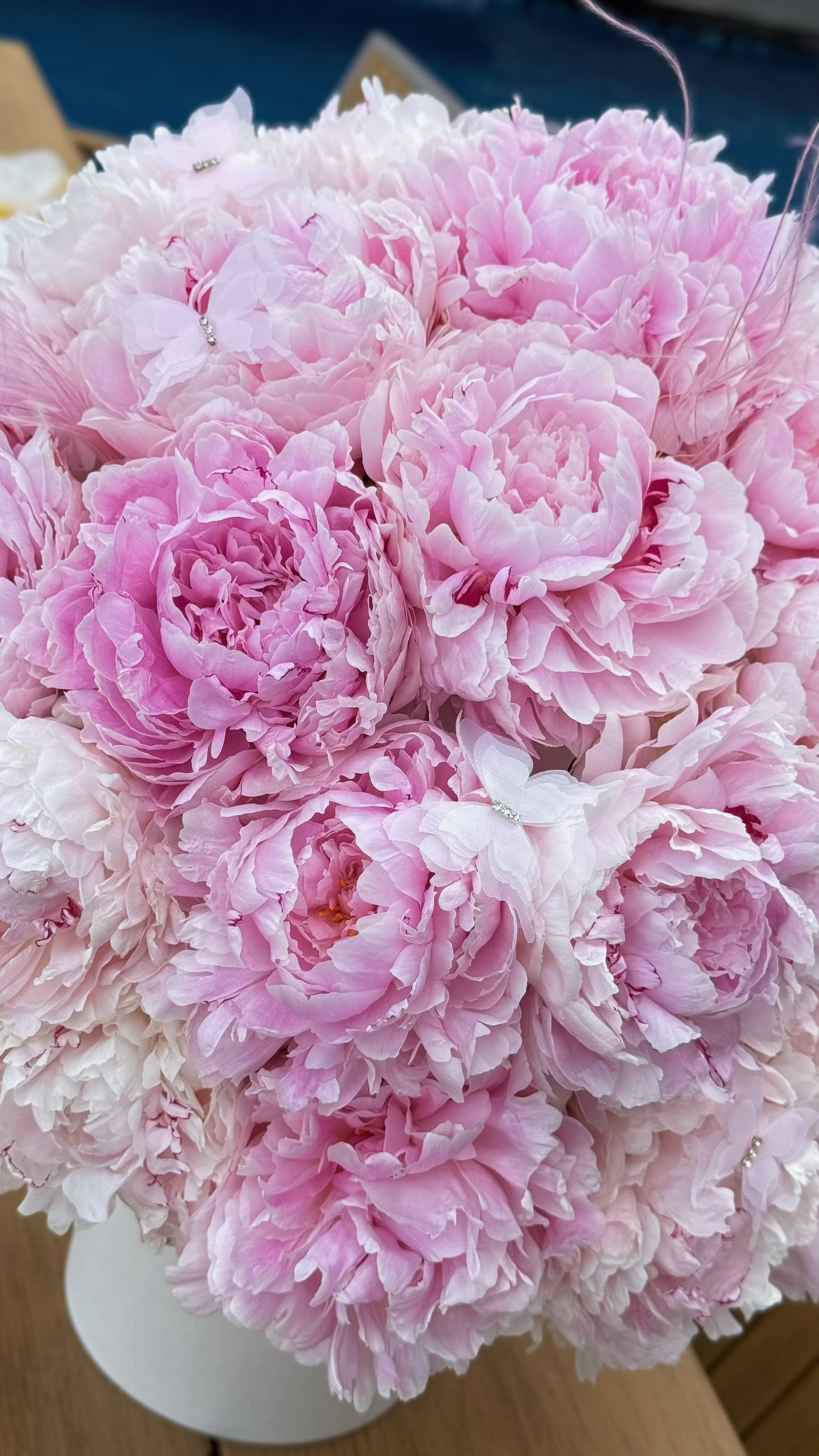 Holland Peonies Sarah Bernhardt Gift Box 🩷 Fresh Flowers