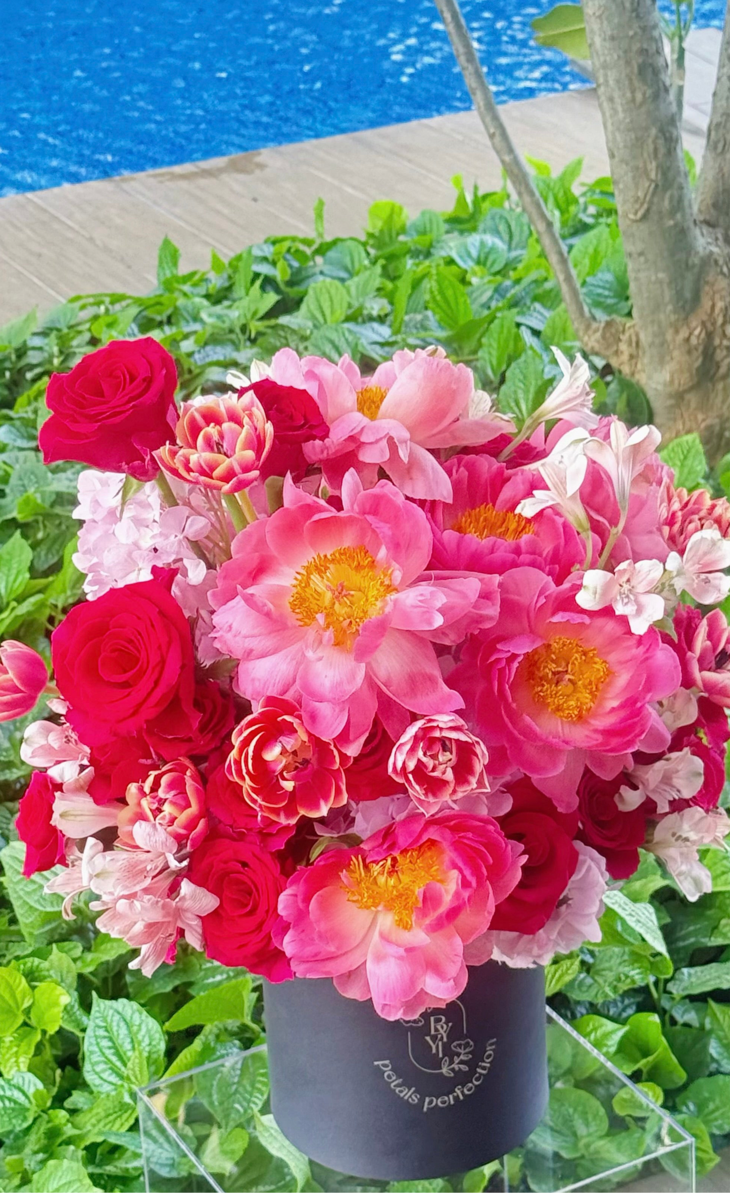Holland Peonies Fresh Flowers Garden 💐
