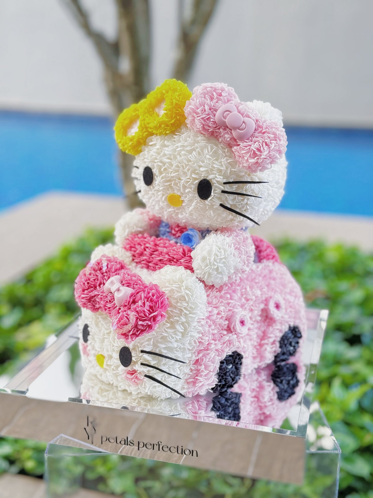 Kitty & Kitty’s Car Preserved Flowers Box 🩷 SG In Stock 🇸🇬