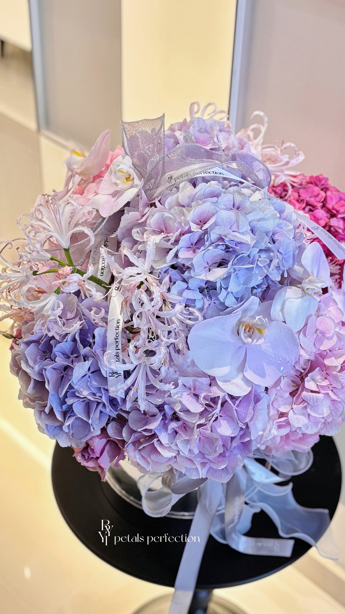 Holland Hydrangea Phalaenopsis Fresh Flowers Box