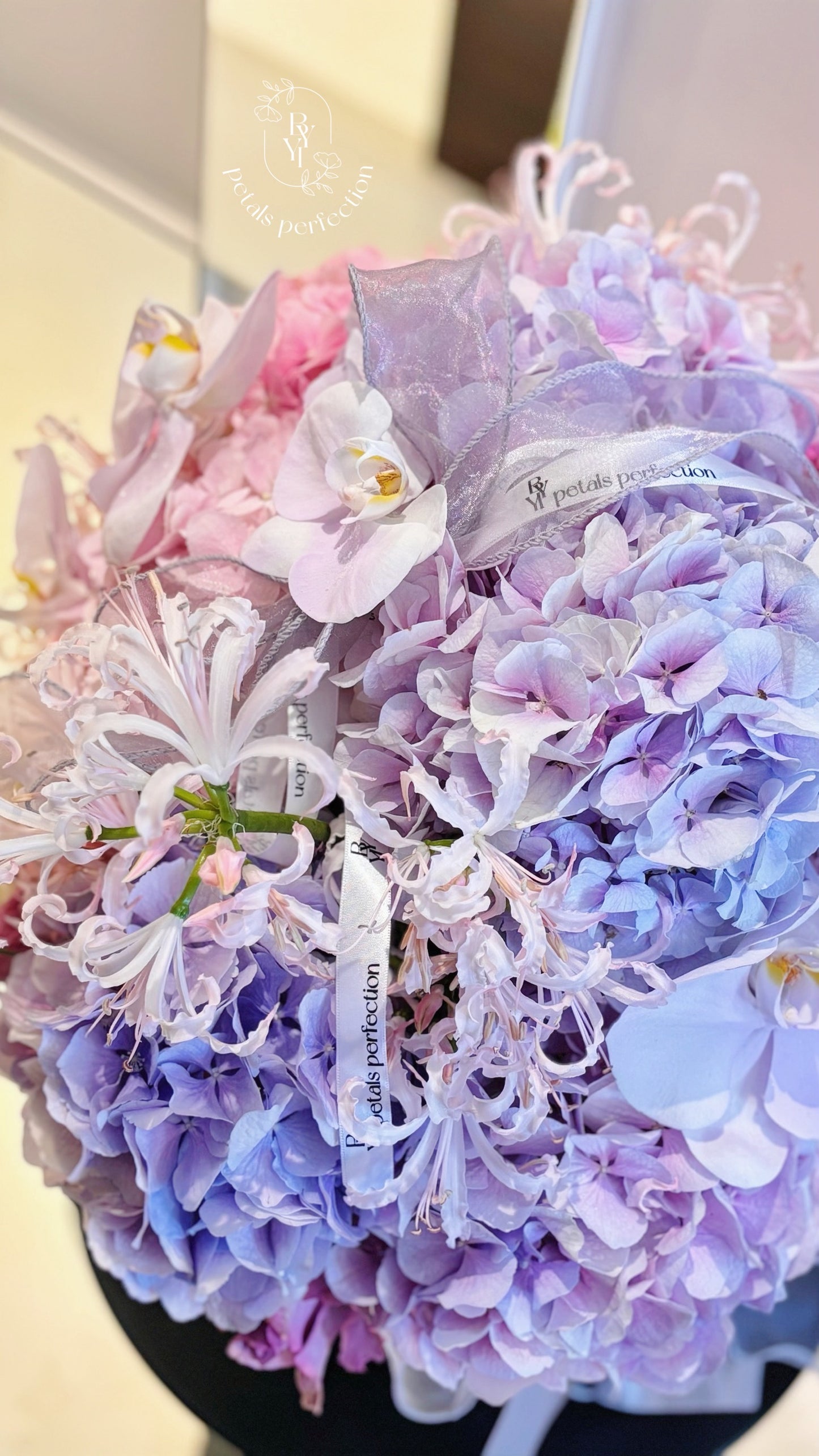Holland Hydrangea Phalaenopsis Fresh Flowers Box