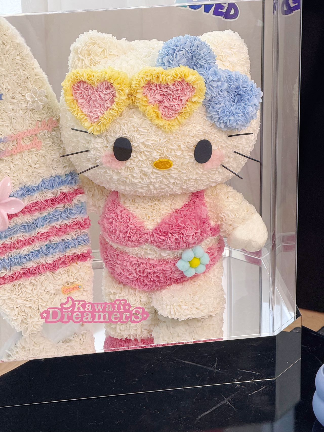 Surf Board Bikini Kitty Preserved Flowers Box