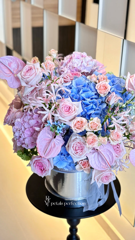 Holland Hydrangea Pink Blue Dream Box 🩷 Fresh Flowers 🩵