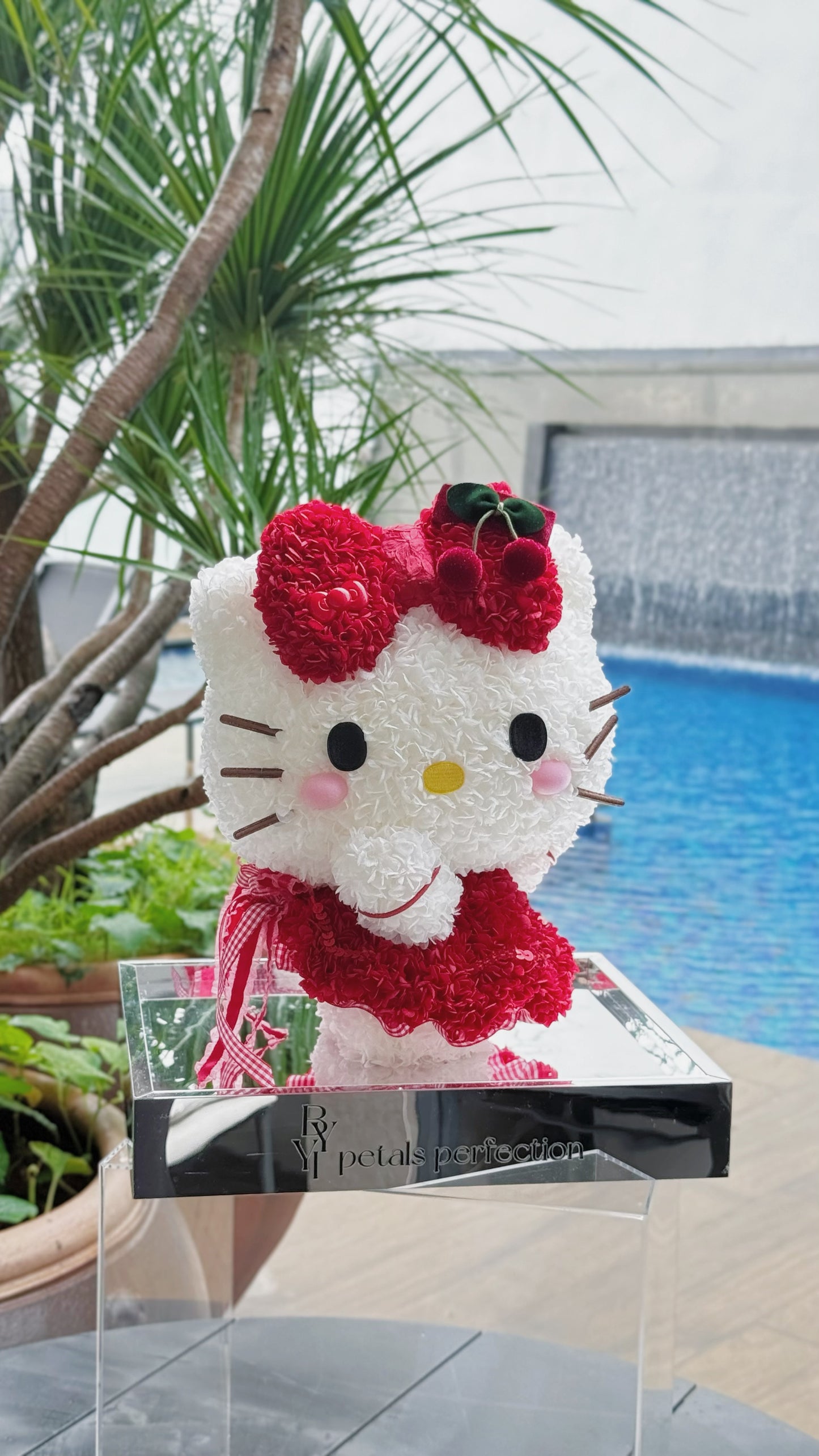 Ballet Kitty ❤️ Preserved Flowers Box🇸🇬 SG In Stock