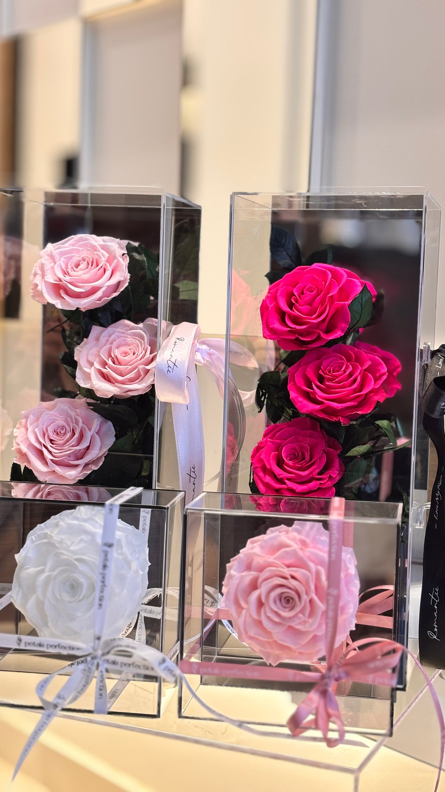 Ecuador Preserved Roses Hand Carry Gift Box 🌹