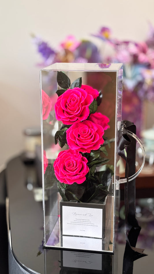 Ecuador Preserved Roses Hand Carry Gift Box 🌹