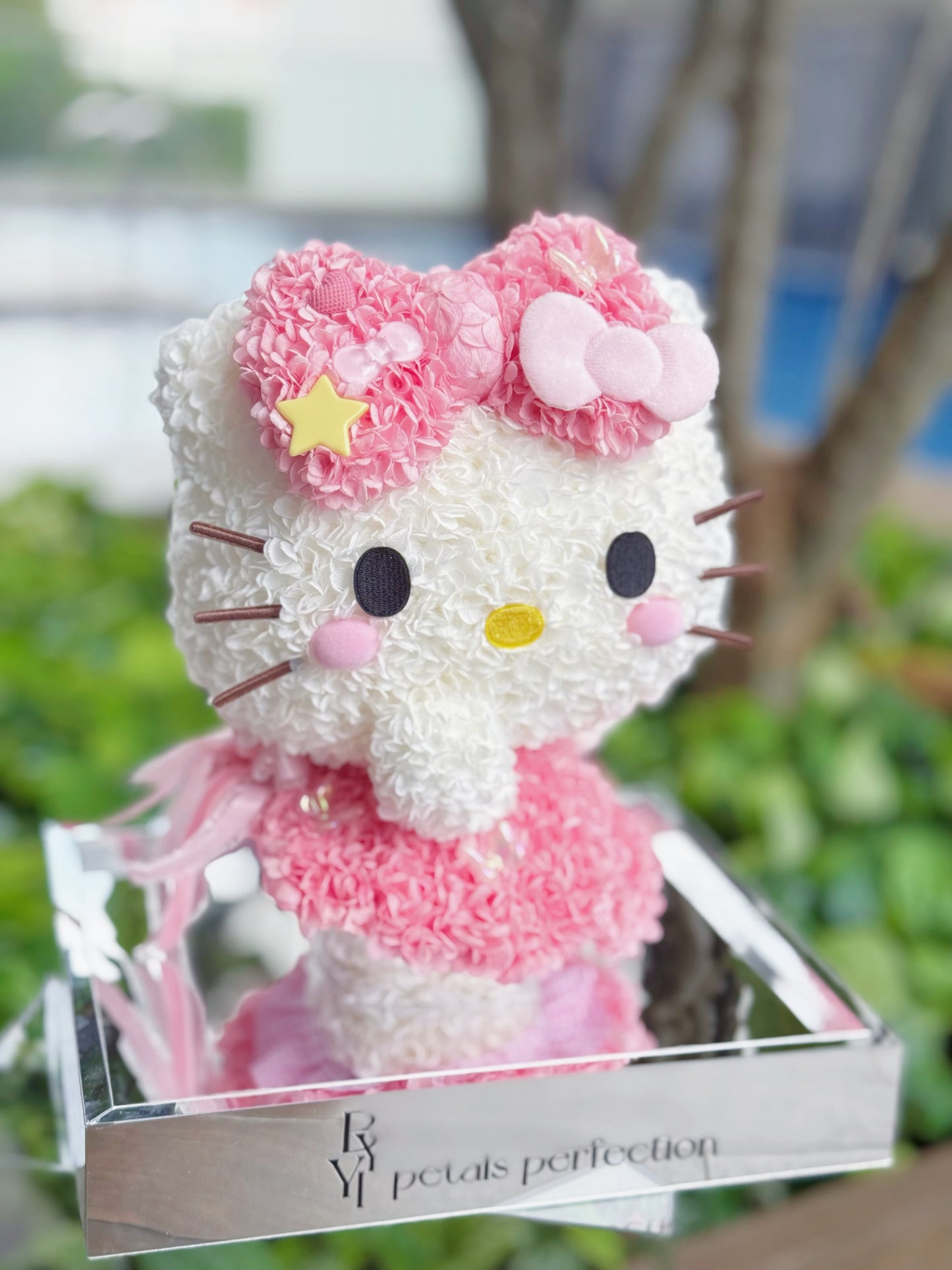 Ballet Kitty 🎀 Preserved Flowers Box 🇸🇬 SG In Stock