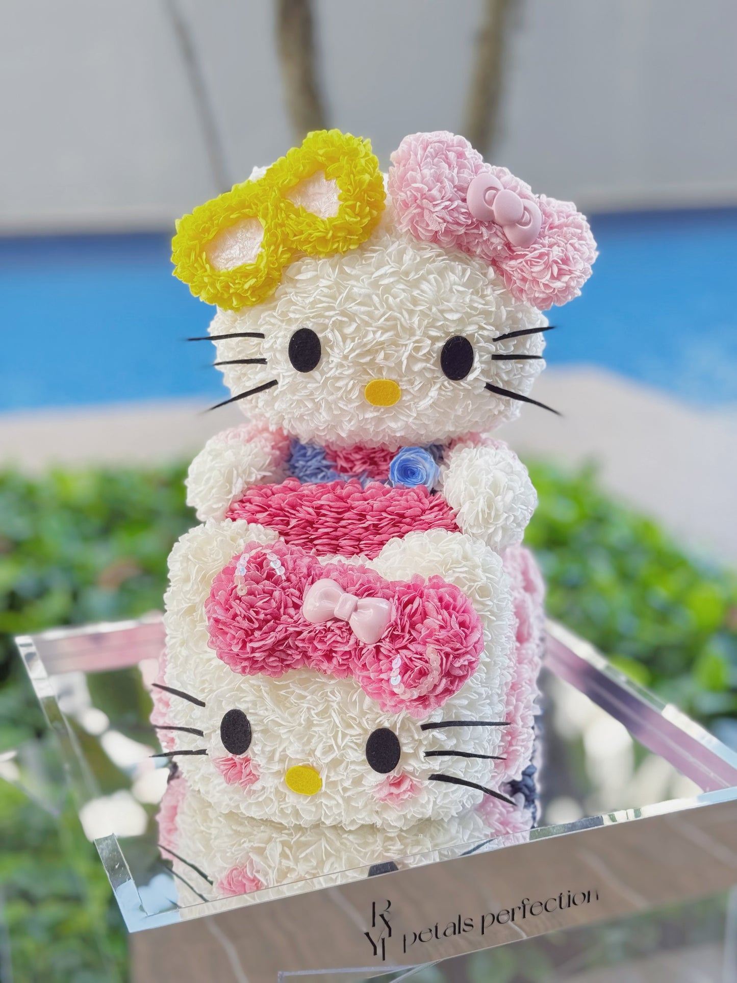Kitty & Kitty’s Car Preserved Flowers Box 🩷 SG In Stock 🇸🇬