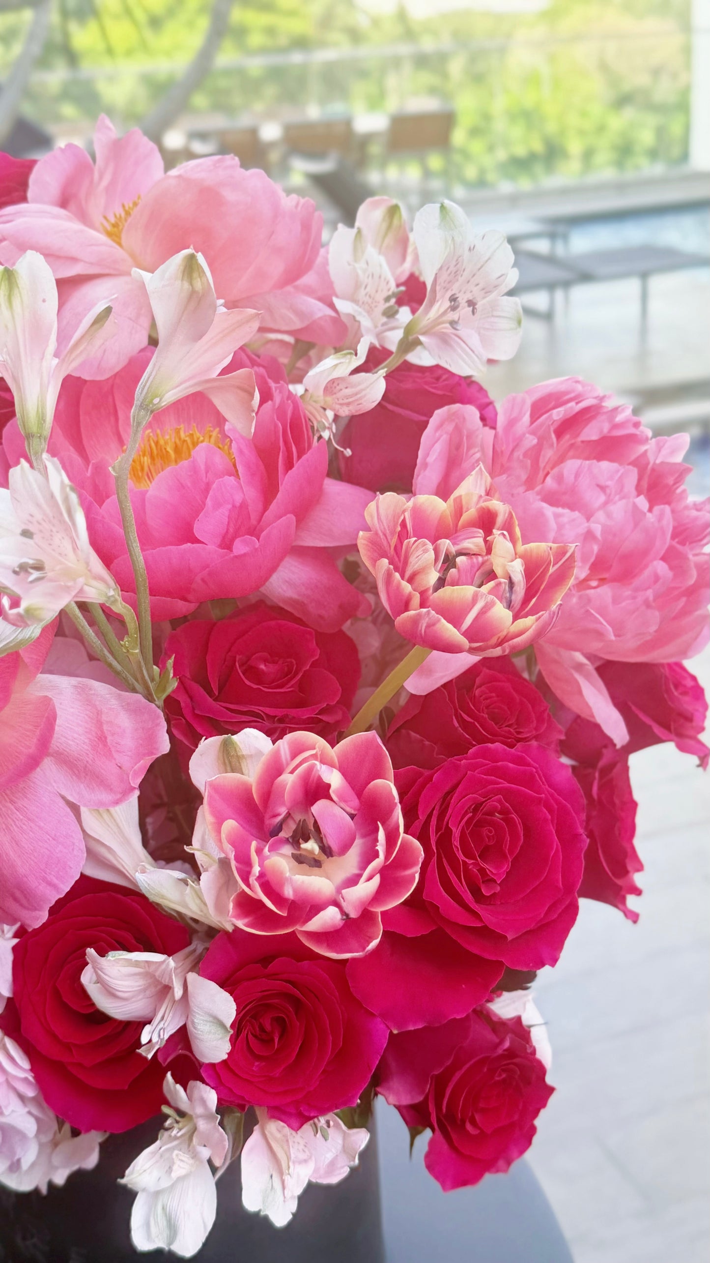 Holland Peonies Fresh Flowers Garden 💐