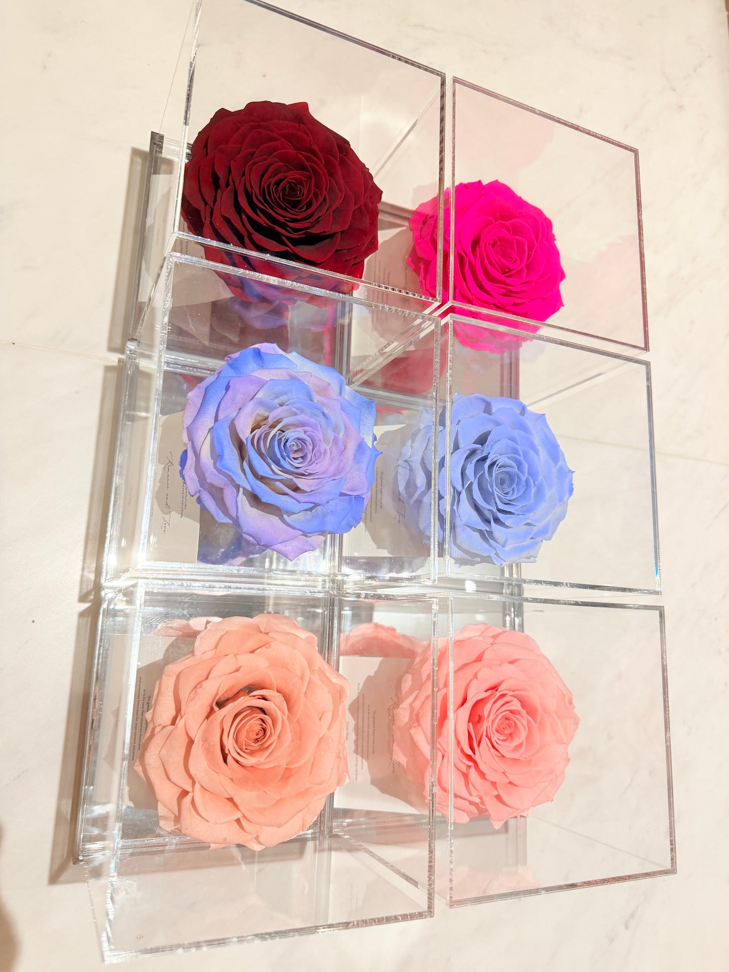 Ecuador Preserved Rose Gift Box 🌹