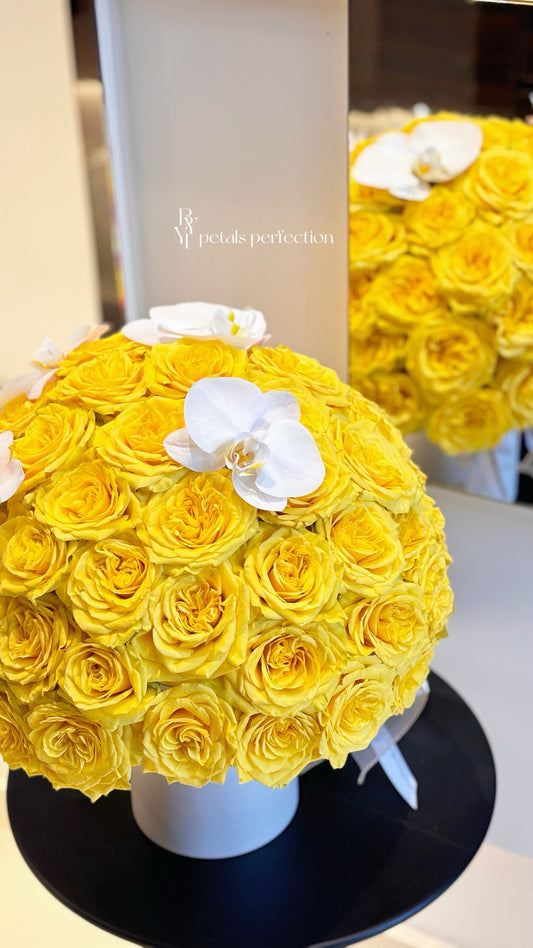 Premium Fresh Kenya Roses Box 💛