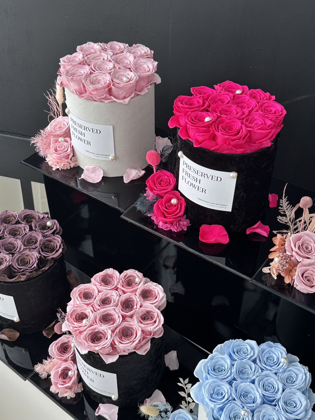 Ecuador Preserved Roses Gift Box 🩵