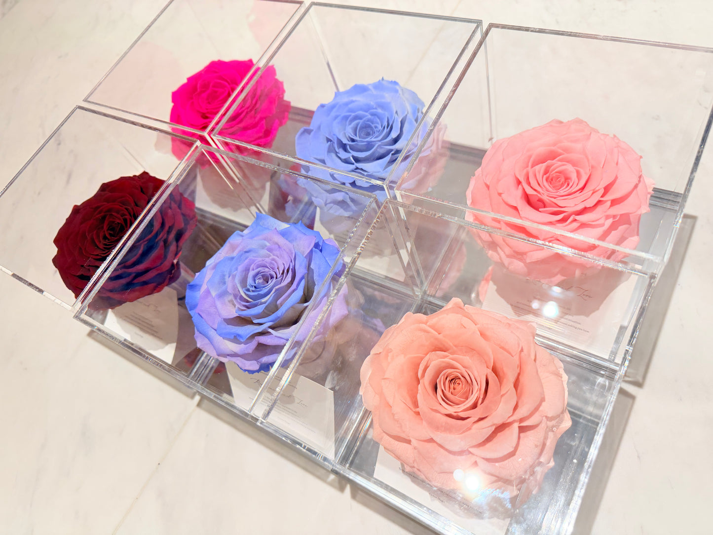 Ecuador Preserved Rose Gift Box 🌹