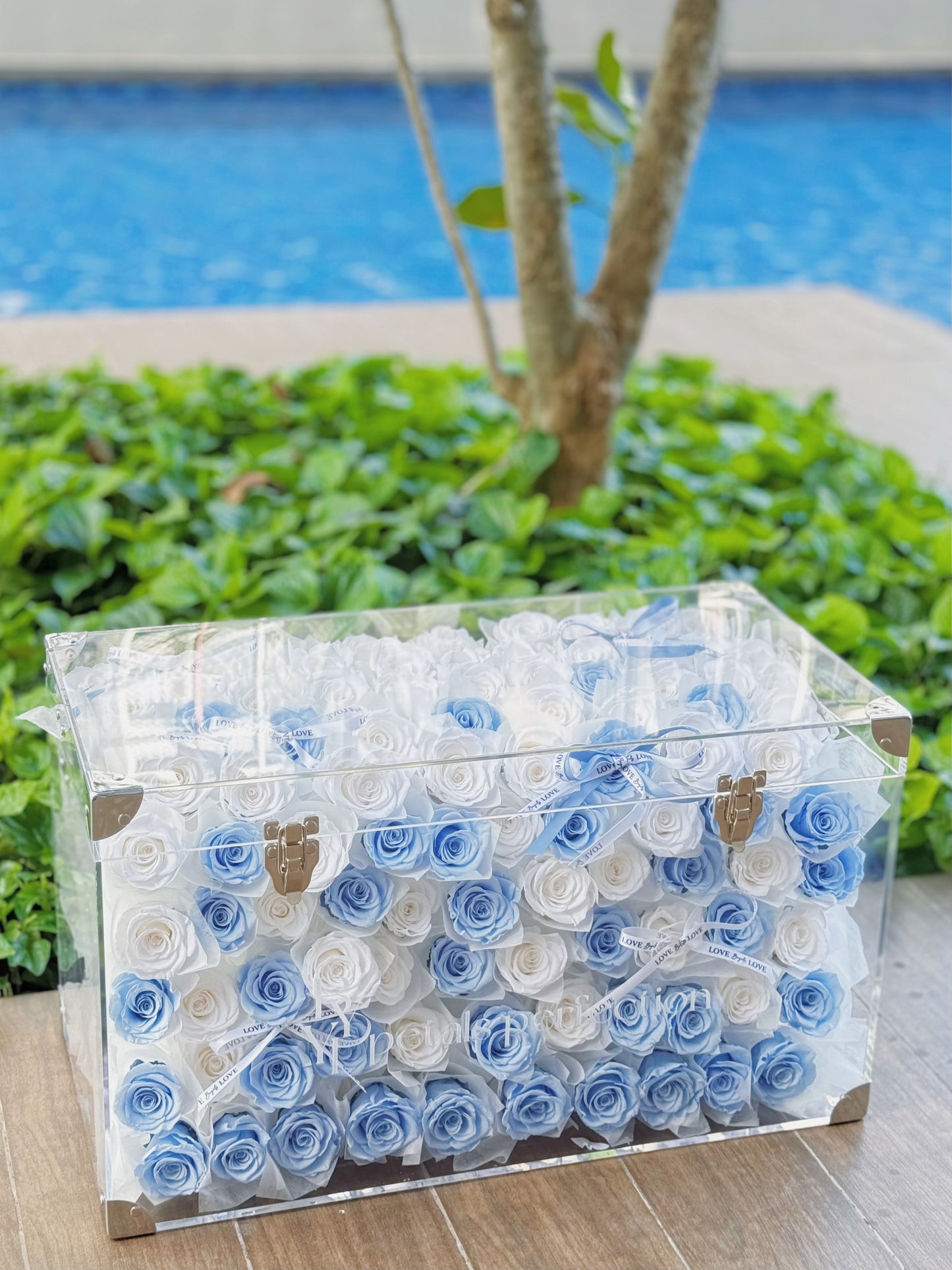 Ice Blue Preserved Roses Garden Large Size 🩵
