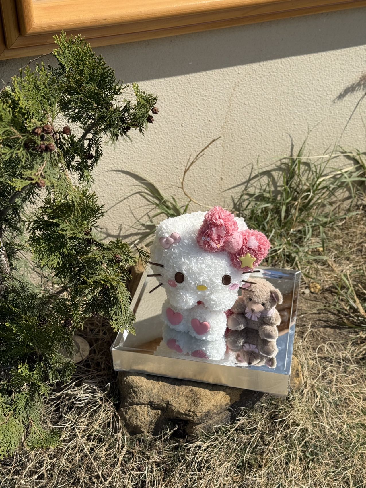 Shy Kitty & Teddy Preserved Flowers Box