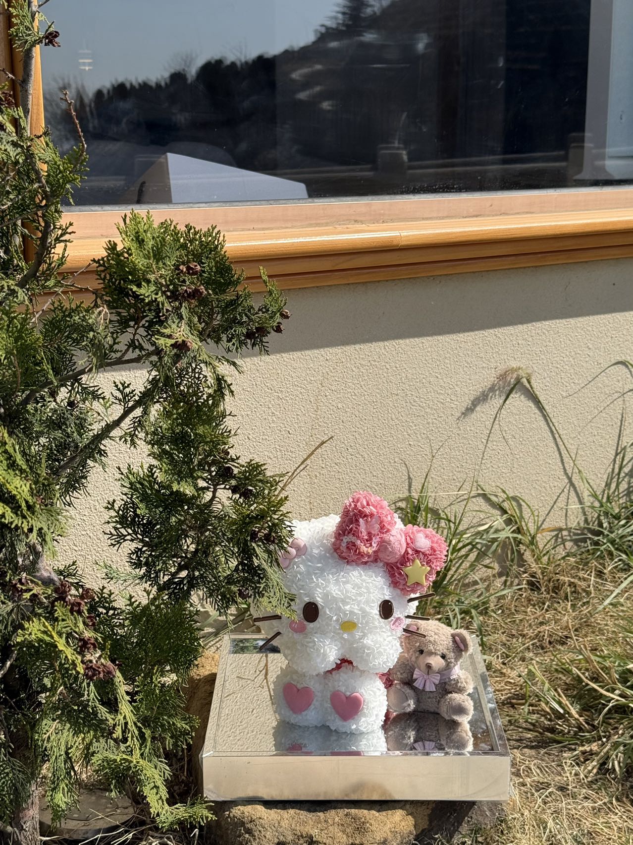 Shy Kitty & Teddy Preserved Flowers Box