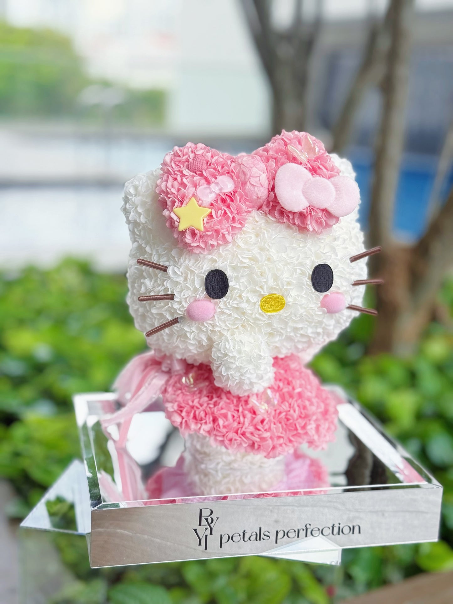 Ballet Kitty 🎀 Preserved Flowers Box 🇸🇬 SG In Stock