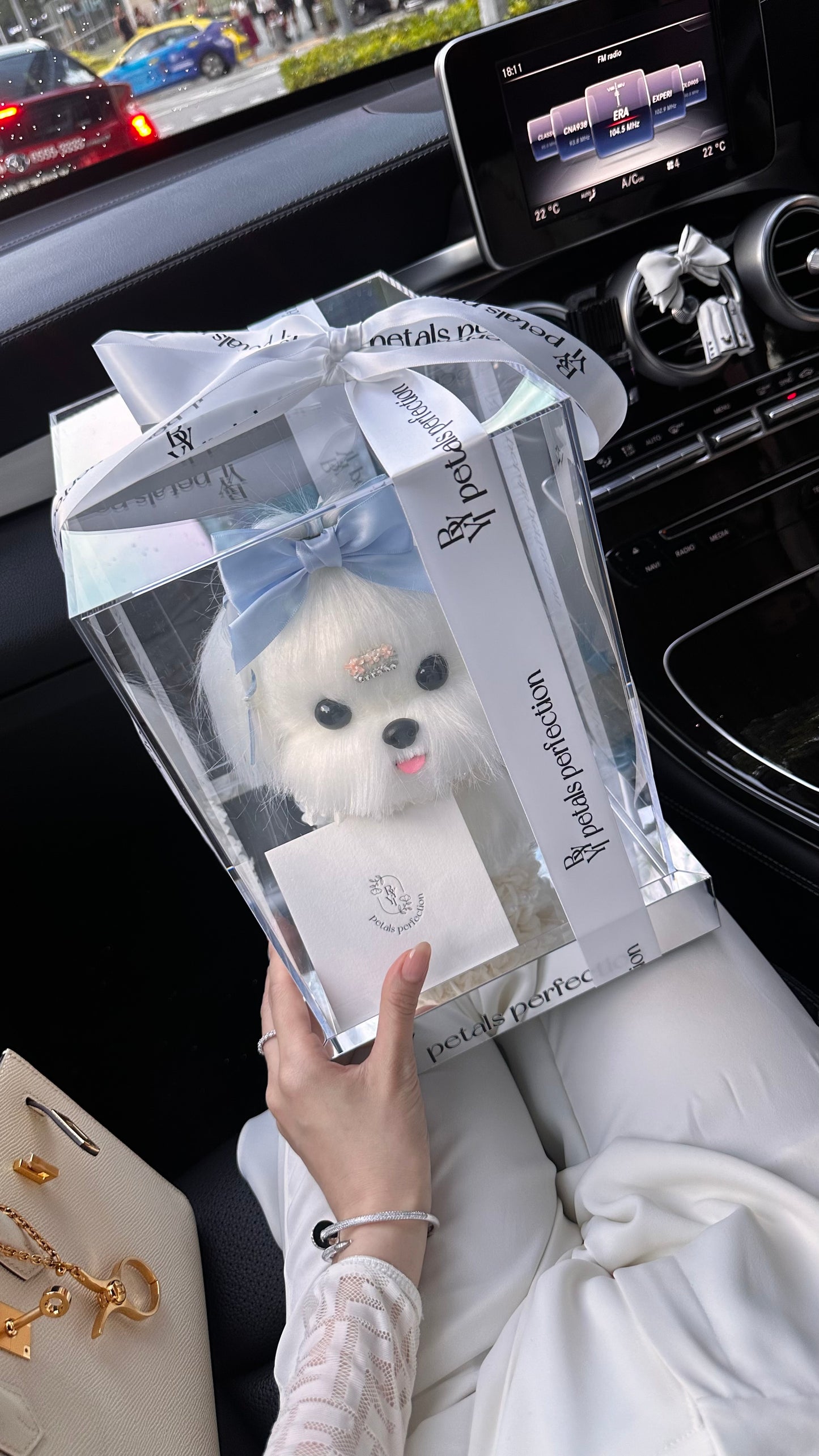 Puppy Love 🐶 Preserved Flowers Gift Box 🩵 SG In stock 🇸🇬