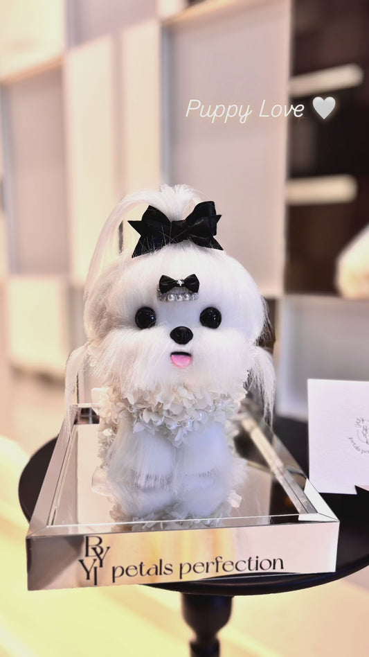 Maltese Puppy Love Everlasting Flowers Box 🖤