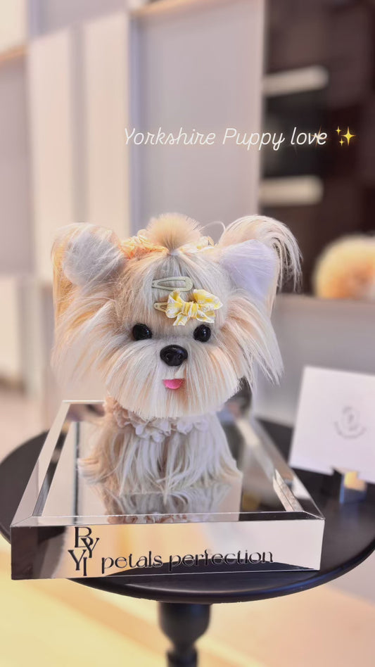 Yorkshire Puppy Love Everlasting Flowers Box 🇸🇬 SG In Stock