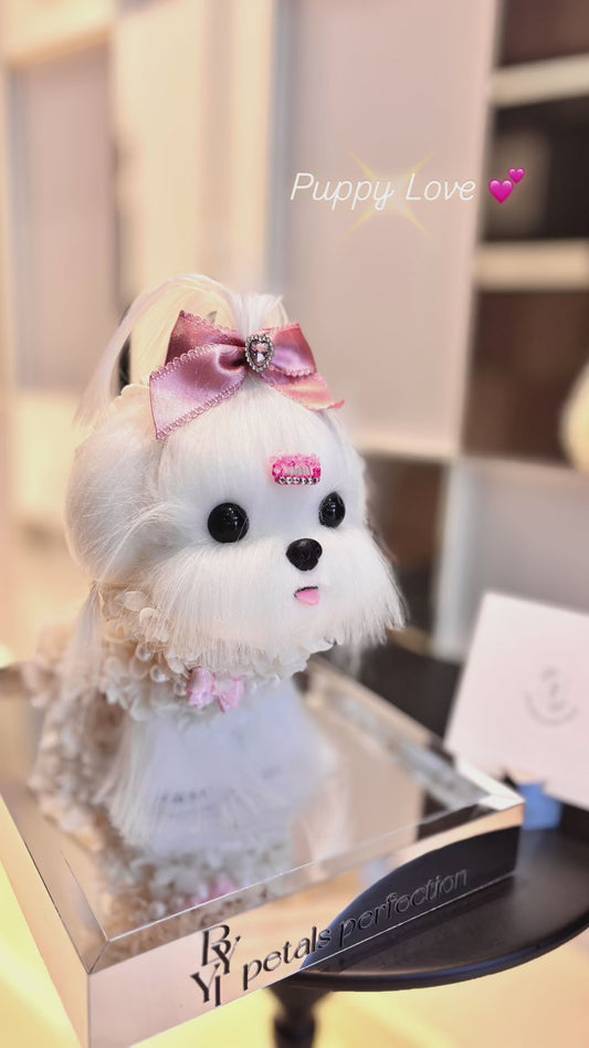 Maltese Puppy Love Everlasting Flowers Box 🎀