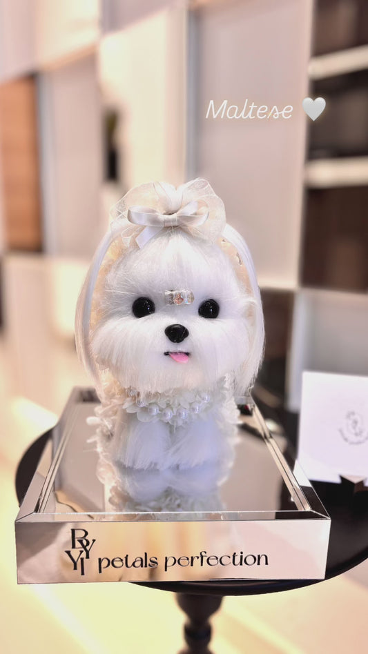 Maltese Puppy Love Everlasting Flowers Box 🤍